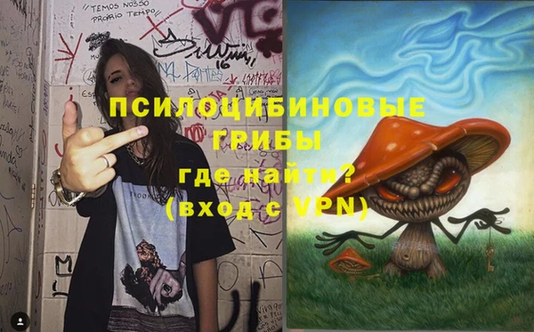 ешки Балахна