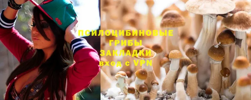 как найти закладки  Дагестанские Огни  Псилоцибиновые грибы Cubensis 